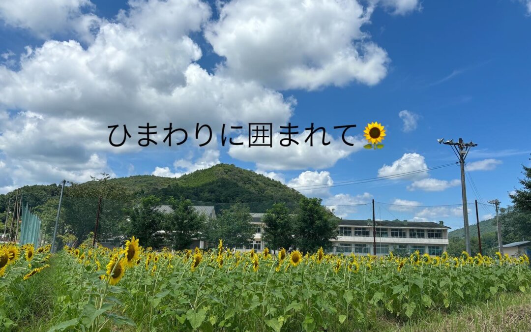 南方夏祭り
